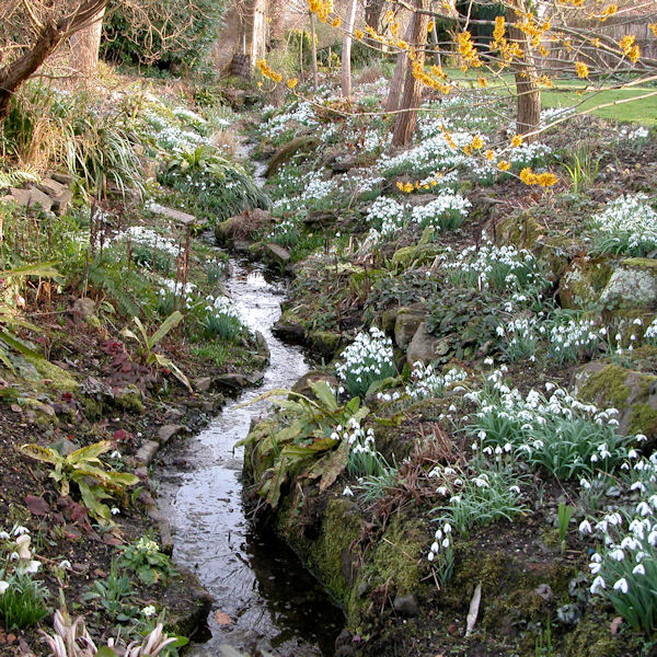Margery Fish Alchetron, The Free Social Encyclopedia